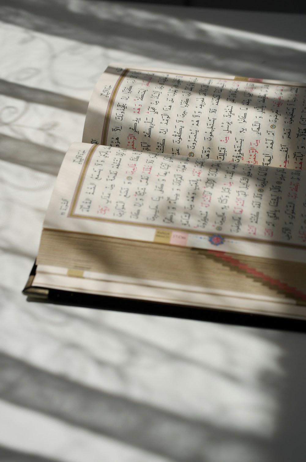 Open Quran illuminated by sunlight